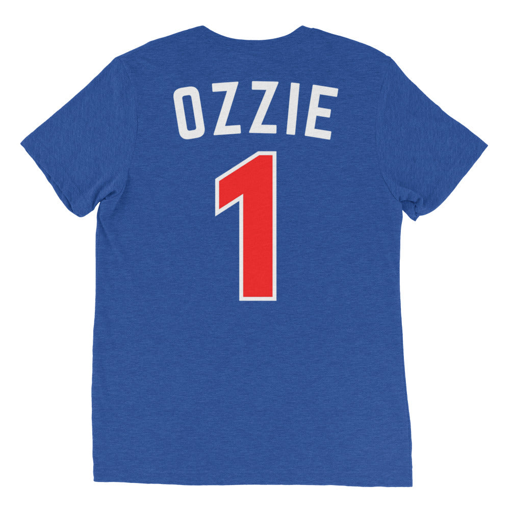 Adult Red & Blue OA T-Shirt
